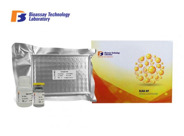 Rabbit Procollagen IV N-terminal Peptide ELISA Kit